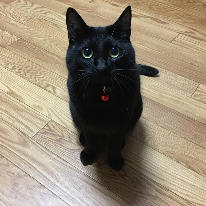 334ac99b 5628 4e92 9057 54a16a73e555