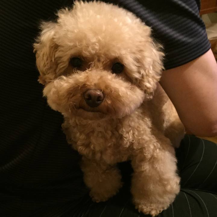 334c060a c107 40cc 9fbb 0f08c057974d