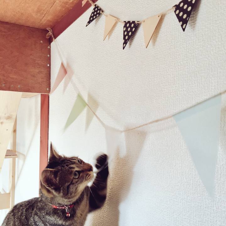 334c642a 43a8 4583 bdf4 e4bba320071e