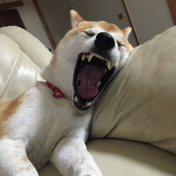 334c7ac4 5b06 4c2e a749 dead14db4318