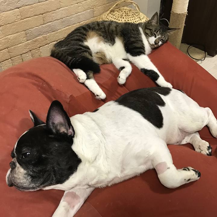 334cb392 e47b 4854 ac28 0b2b0fef7ac6