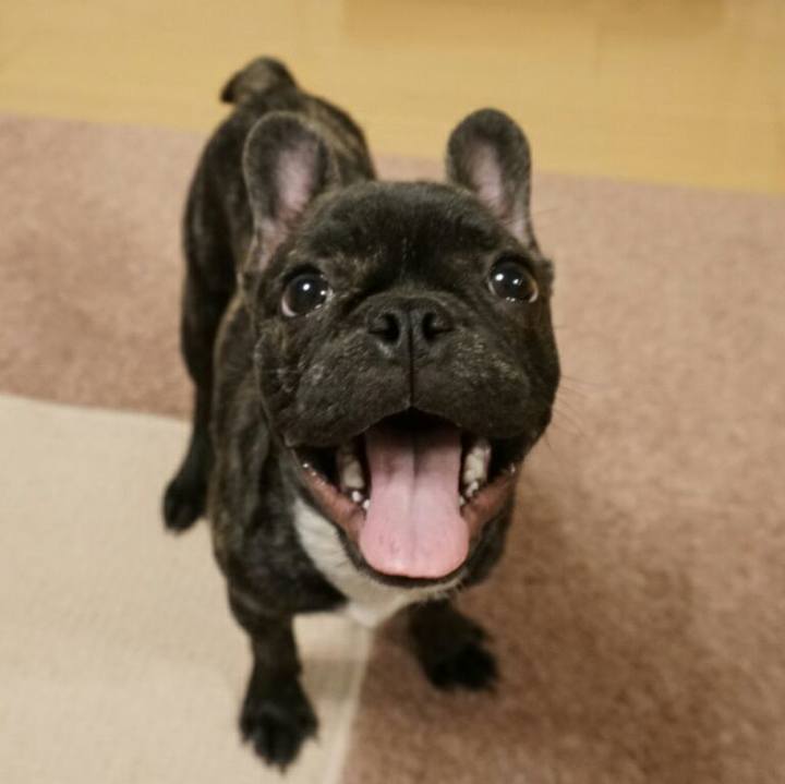 334cca0c 938d 45c8 bd41 f7e0d6ee7ab7