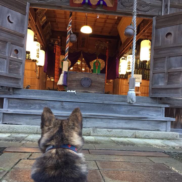 334ce740 3cb8 4cbd 8ec3 1add1950628a