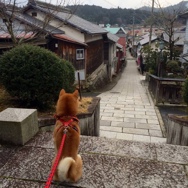 334cfc1a 9554 4093 9867 97fcb0333e7d