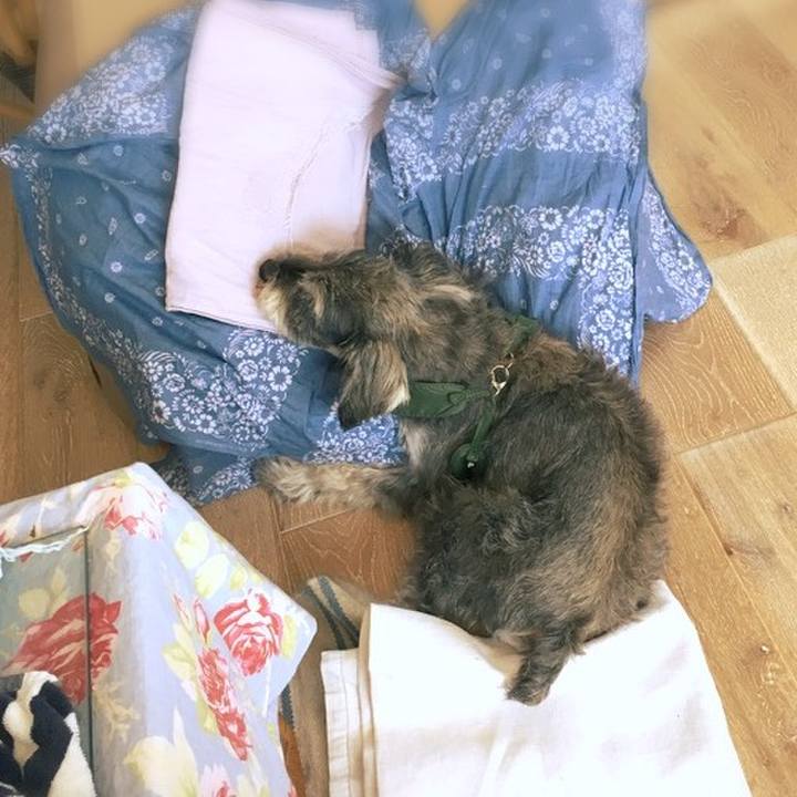 334db8cd ace4 4346 871d a6118e695681