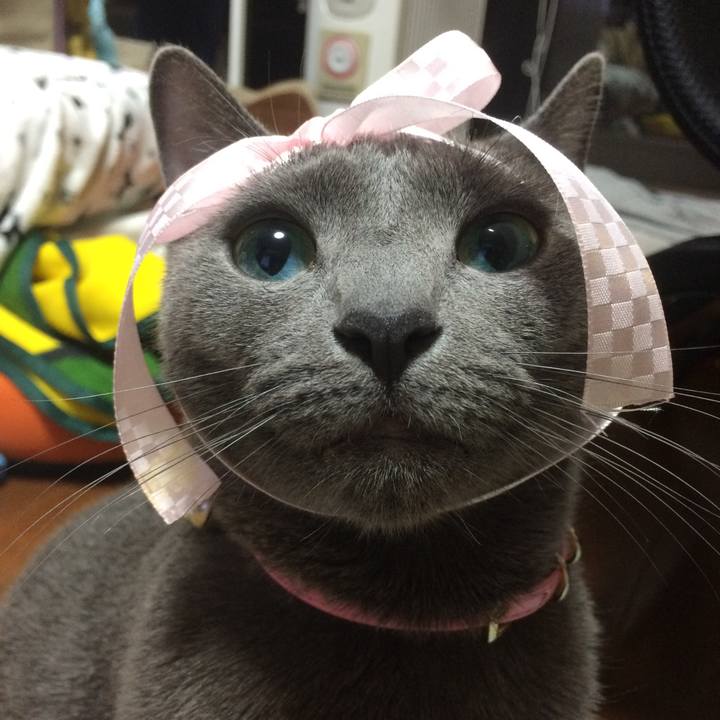 334e4fb9 053e 476c ba12 94a889f77fb8