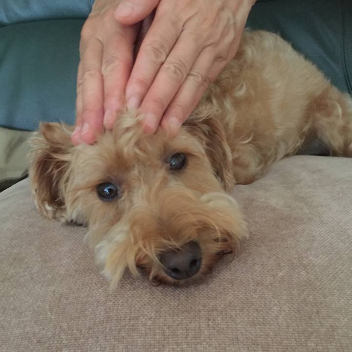 334e7317 5604 4f72 82fb 3f13390a757a