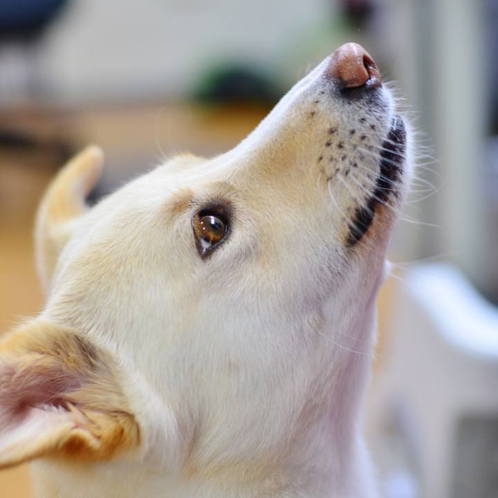 334ed93b ecc0 4e49 acf3 5bbd0f7e0f7a