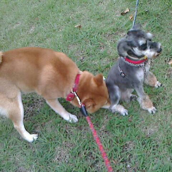 334f8eec 24e0 4be4 a10c dae1f1afc079