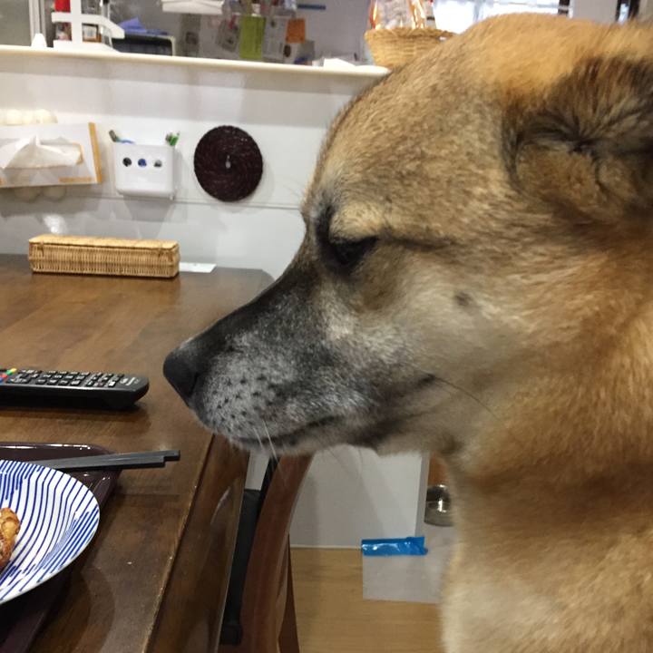 334f9670 a539 4fcb bfc1 ff15cabf3191