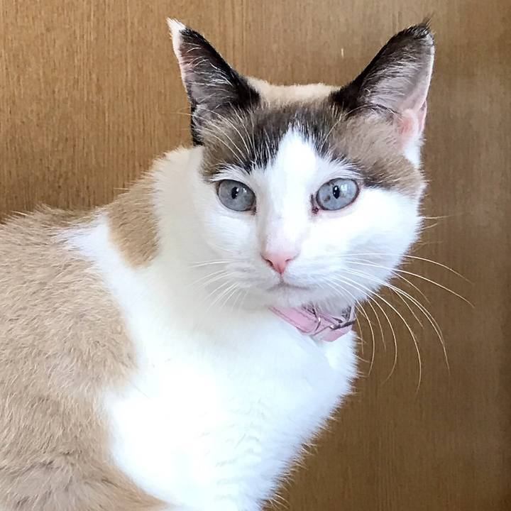 334fb4b7 4828 4e27 ac98 ea050f632c91