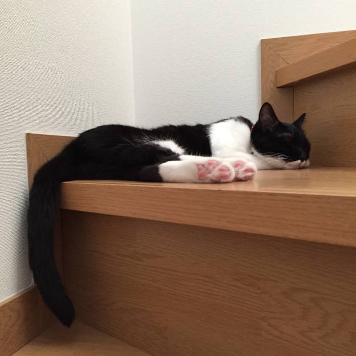 33501048 8b0a 460d 96f9 603e226cdff6