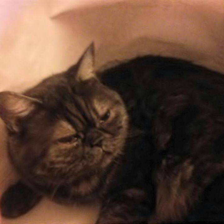 335031c2 c618 46c6 ba74 c77c9a41eb40