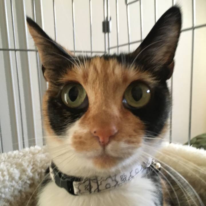 3350c2af c9c8 4980 b5fe 7c36fda28f3a