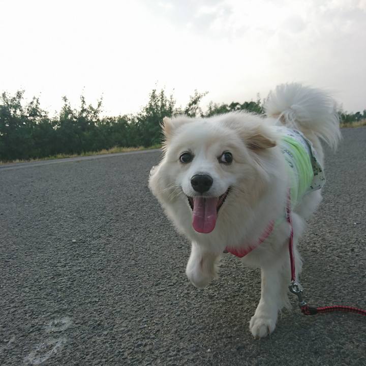 335100e7 3e0a 4453 b139 6bc4eaa5cea4