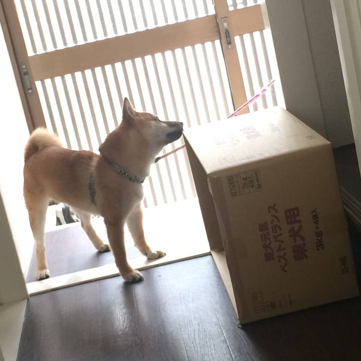 33514438 bafe 43b9 9ae5 278e9b60e348