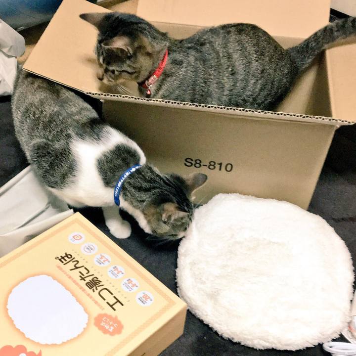 3351d76c a300 4d9d ae8e 42b136da575d