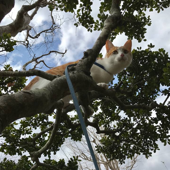 33521a49 85e5 46b7 835b 548bd00c3cf6