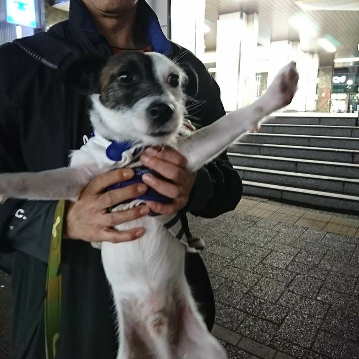 33531430 b7c8 478d 99b0 1a1db17ba681