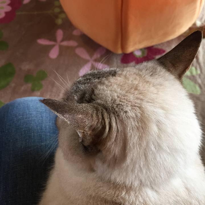 3353863a a70f 4059 91c9 8afeb7a6932c