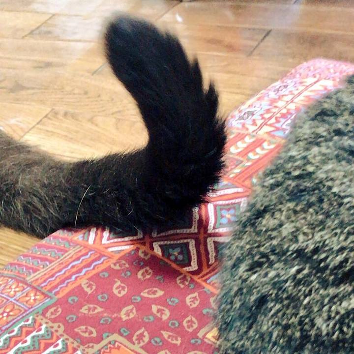 3353e8a3 799e 437c be62 84d21e67cbe6