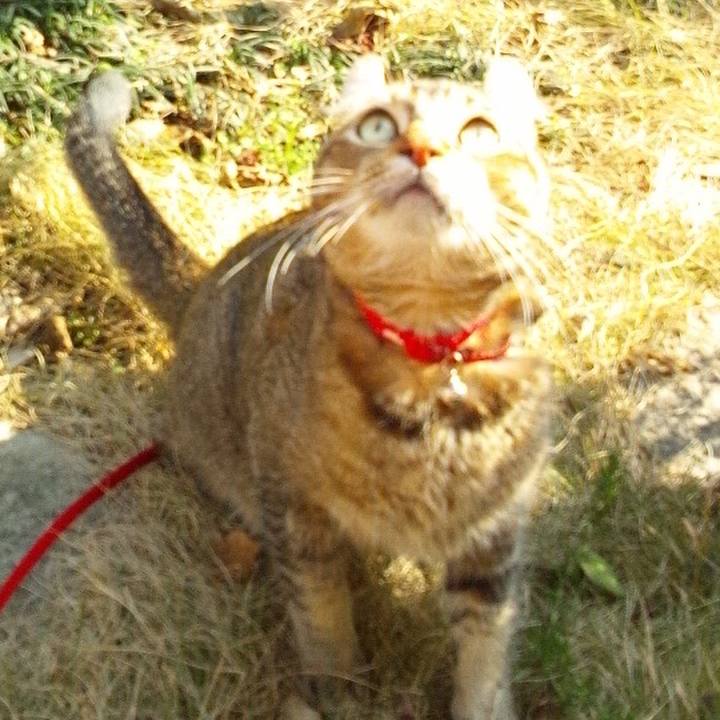 33549b8f cddd 4066 a941 b7ee2b14da2b