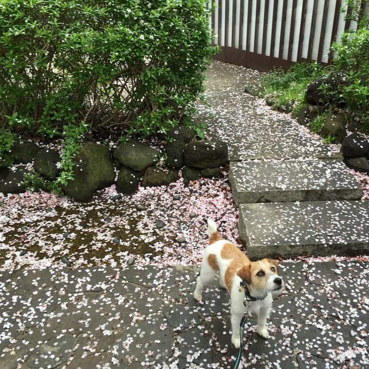 3354a4b5 ed95 4972 bb49 fcc9f8a71b10