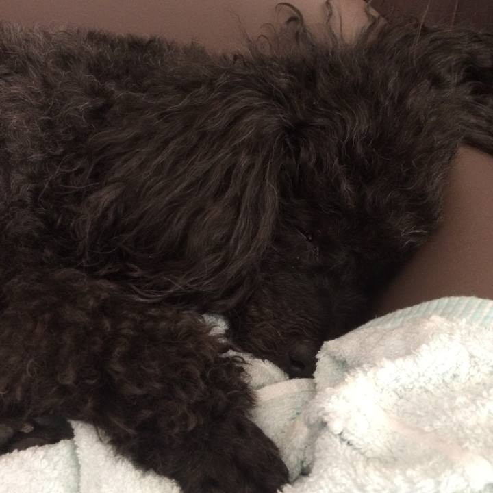 3354bc74 e539 40a2 ba08 d025cdb6af1f