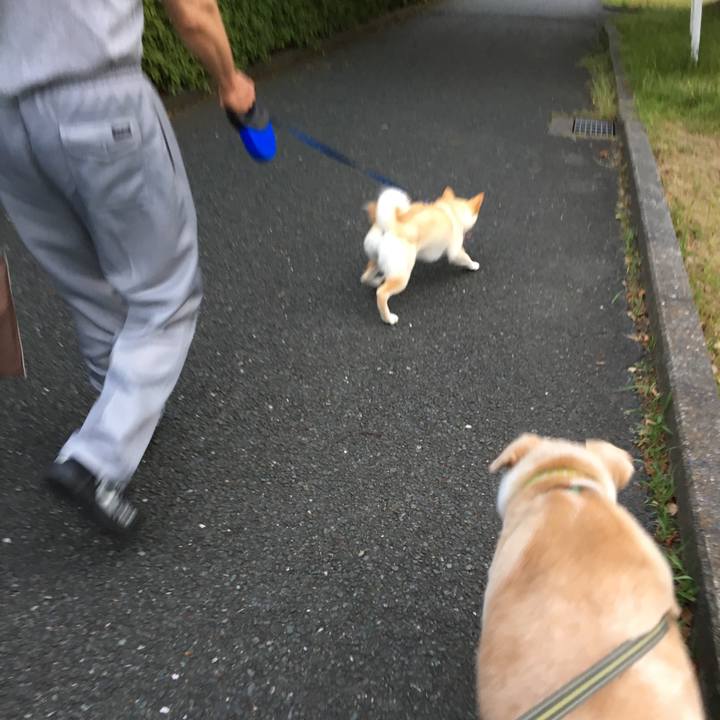 33552ad7 3a52 4e82 a7ee c07e410ea499