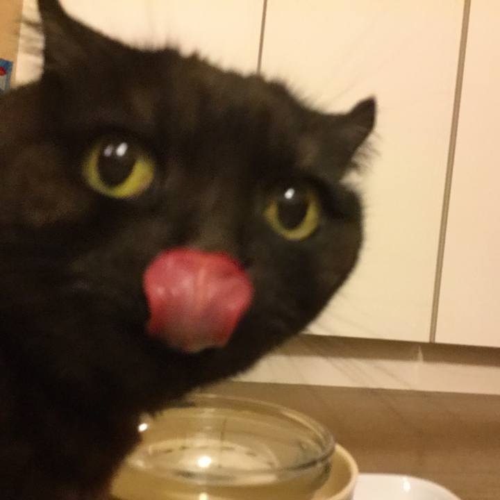 3355d006 2b68 4e0a 9bbb 2f0ae46273ad