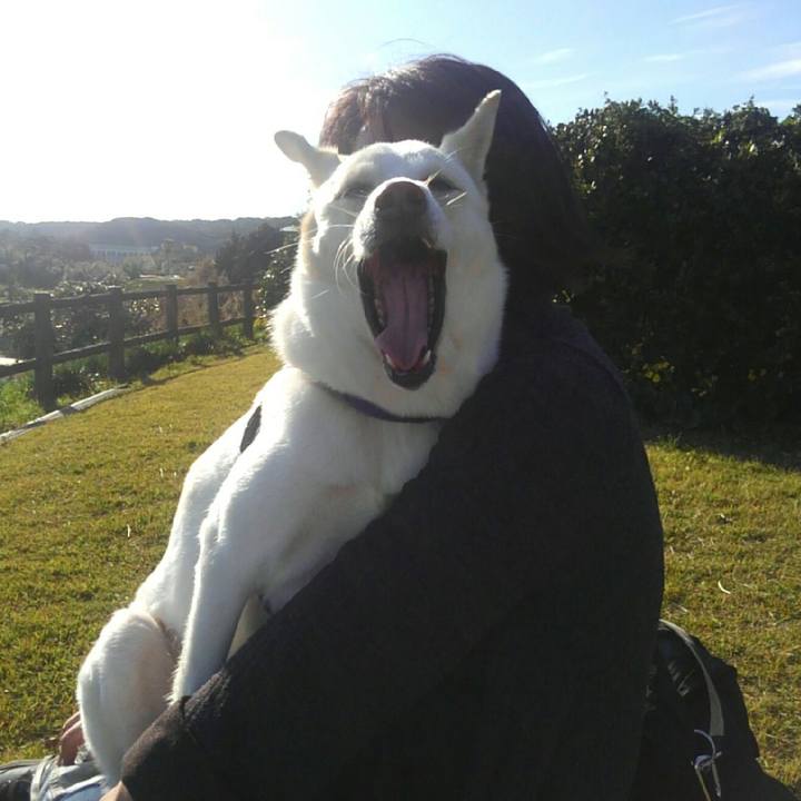 33568ea7 703c 4c35 8c99 bde285abd231