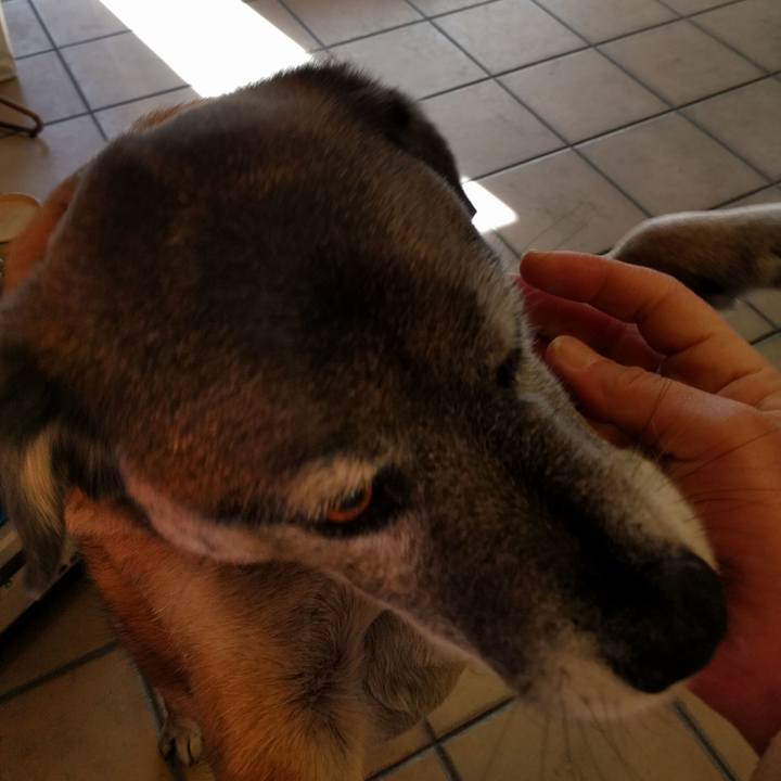 3356f748 61e8 47ef bb74 5a58ca76facb