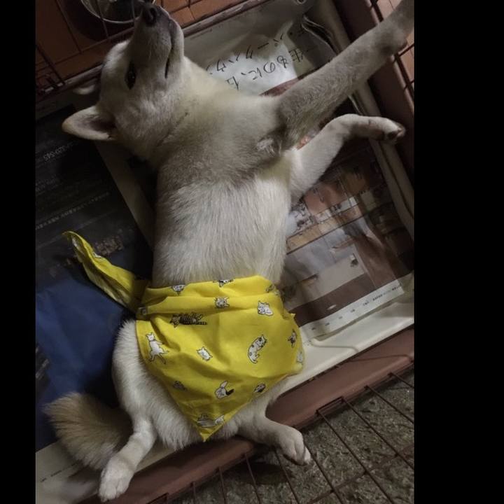 3357ab9f 8dab 4553 85bf cb9f2f2536dd