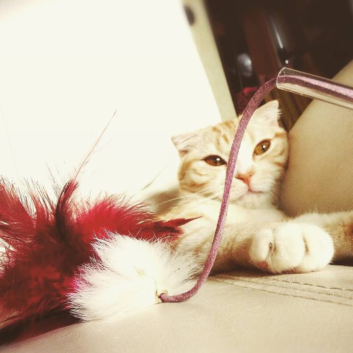 335821f1 6167 467b 9ac4 09c8fedc4263