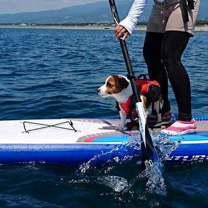 335959b0 cf02 418f 811e 1f0b98d5ce48