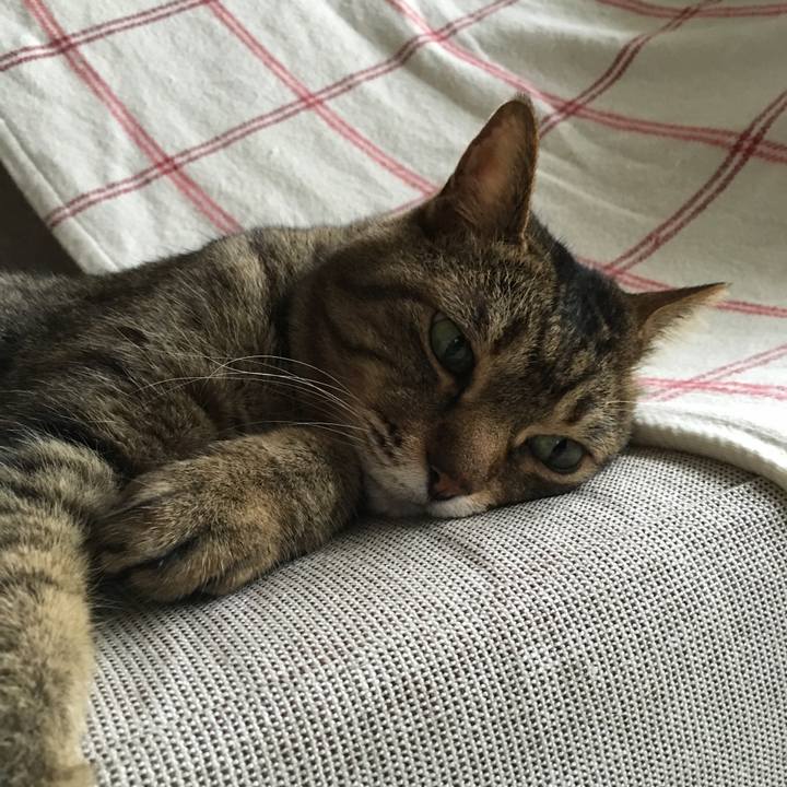 33596474 b63d 4e7d a74c 35a1f9b7114c