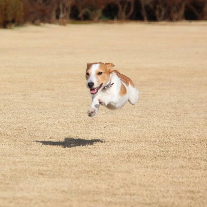 33596982 e68f 4782 ac41 0a46a8a4d29f