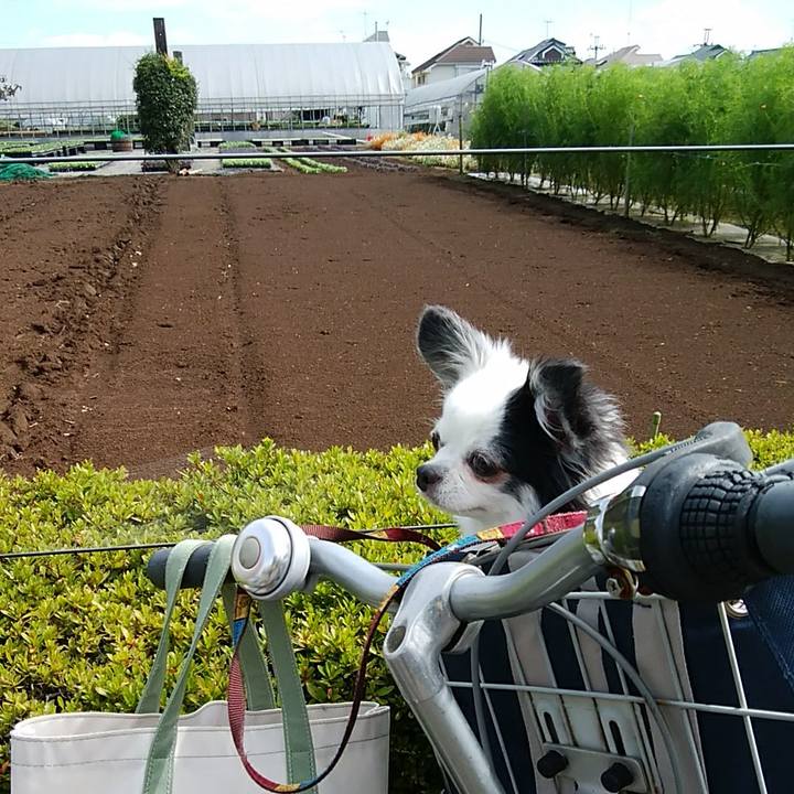 335a1027 3c1f 429b 9b76 1248da257ad6