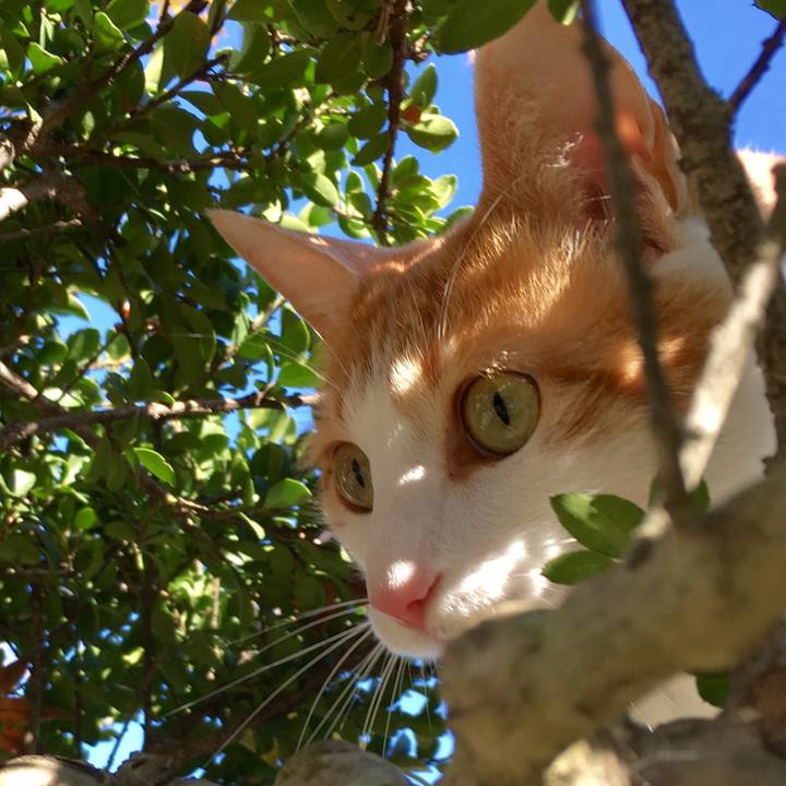 335b5f41 e93f 4a00 b94e d39db209e1c5