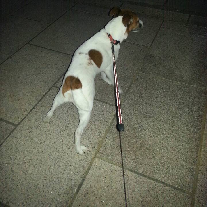 335ba369 fd6e 49ce 9558 246f8b9d2501