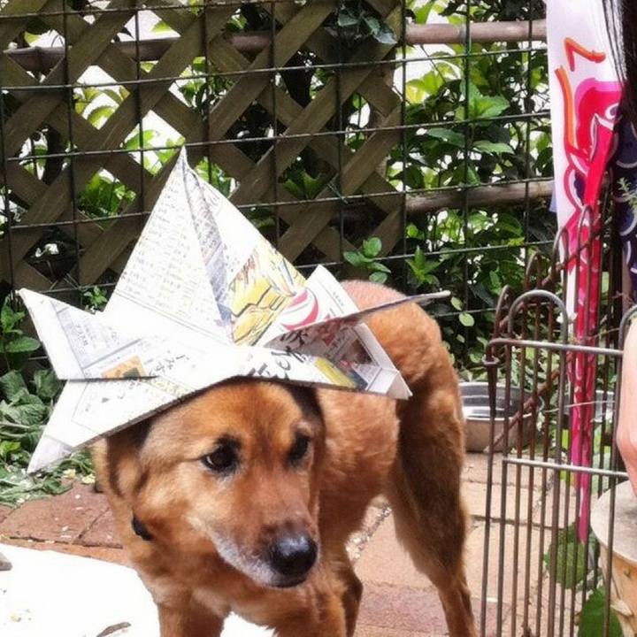 335ba92e f976 4b2d ac38 c84e0ca974e1