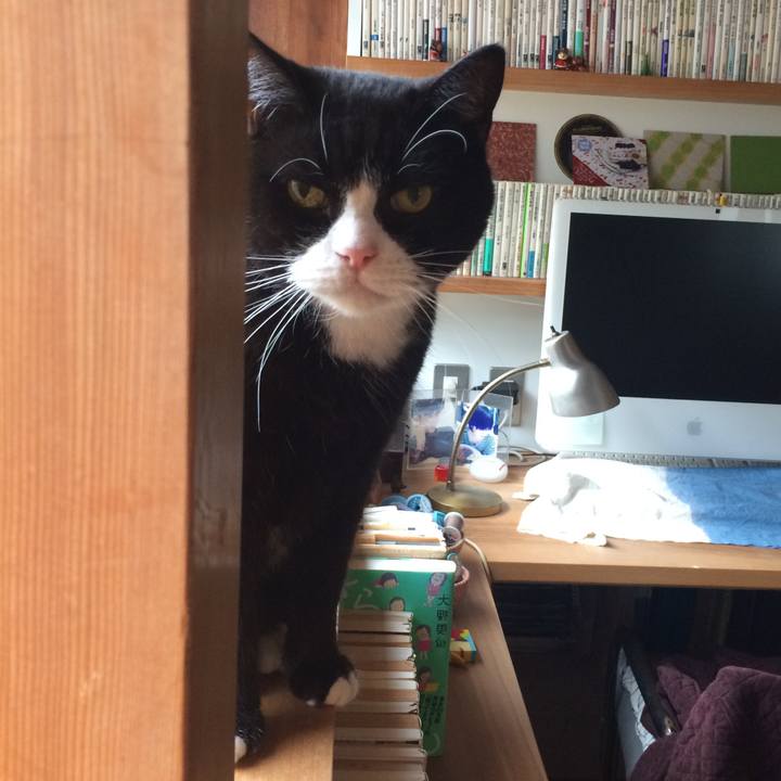 335ce788 3fb2 4e9d 9cd4 f4ee5910b99e