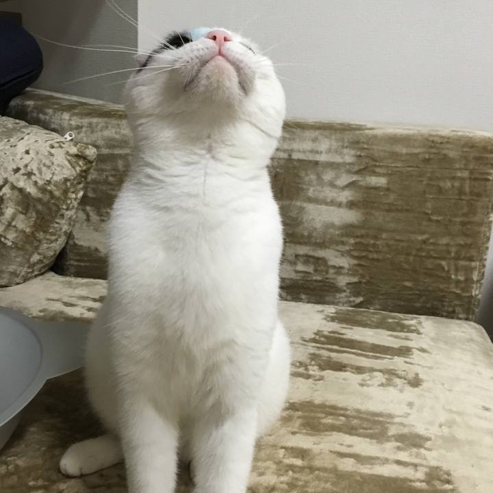 335d24ac ed90 41f6 92c7 1f8d0a3bfcf3