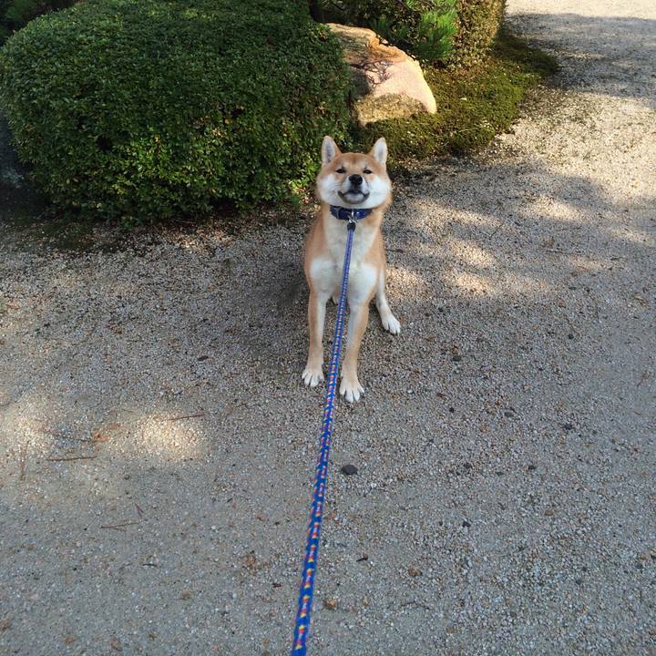 335d7edf 71d3 4577 8923 ccfdd473af25