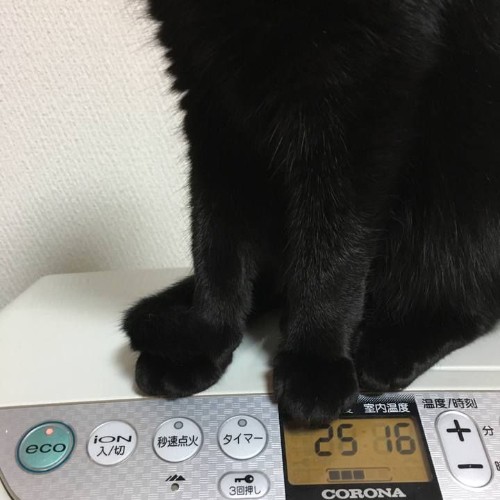 335e3780 c8b3 4150 9272 b8f597e35768