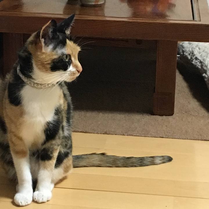 335f391e 4767 4731 b8a2 e1282467408e