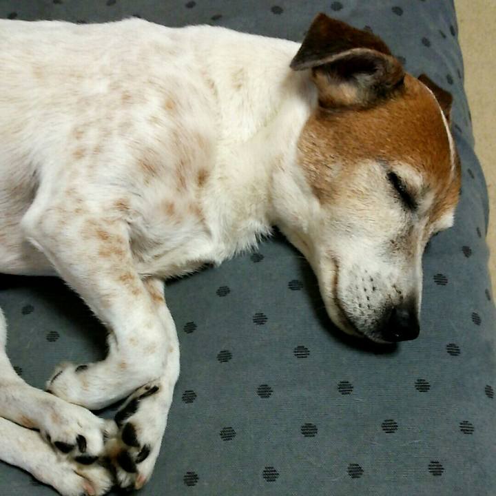 335fae76 112d 409e 9af6 cca73528d25c