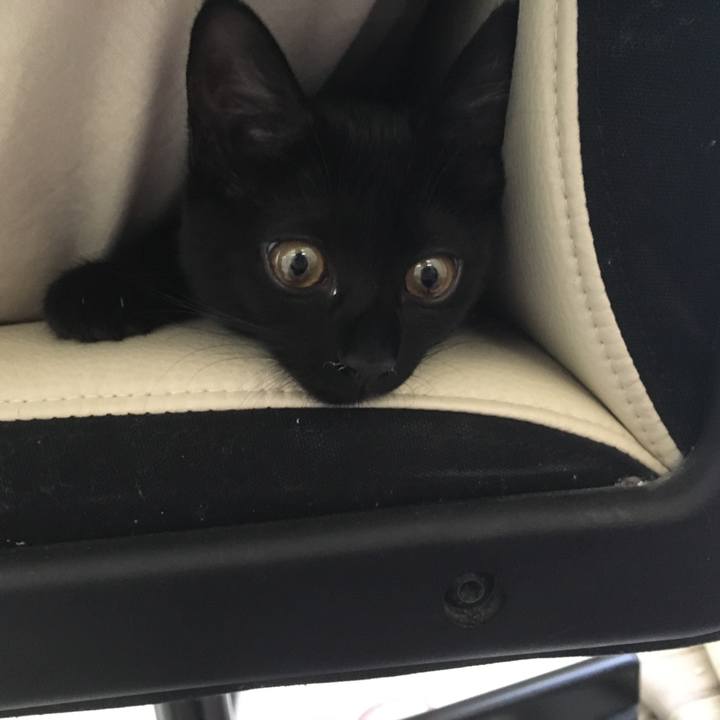 335fb19c 4d02 4a4f aa4d 280a9363d4ce