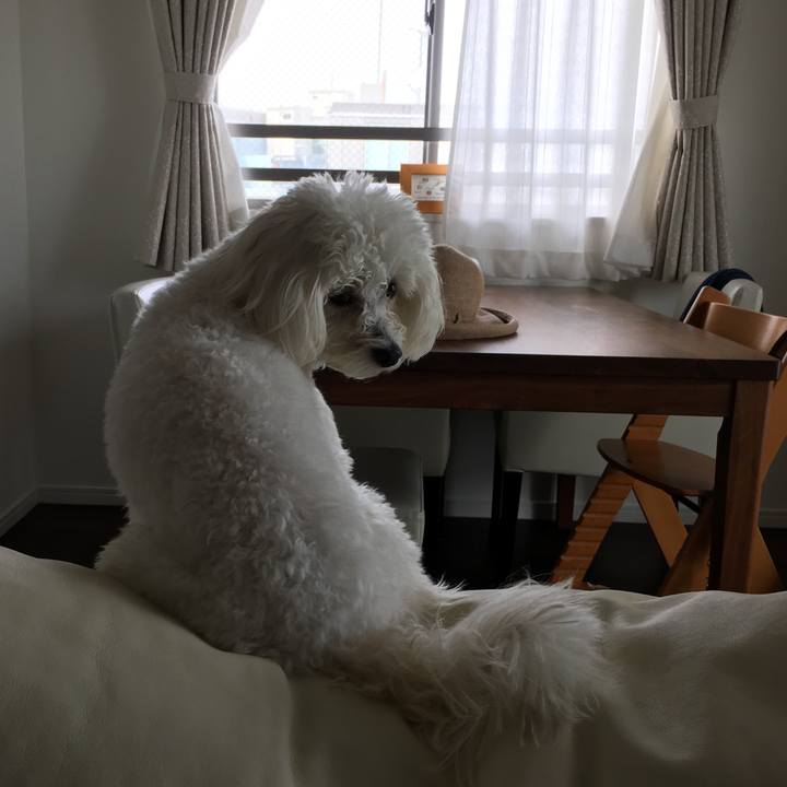 335fb85e 5b10 4c29 a62a 71e10bdee0ab