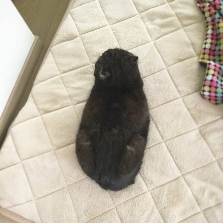 33608466 4ba8 4a5f adfb 5a5b6f04a48a